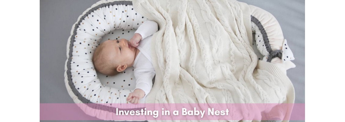 Investing in a Baby Nest Investing in a Baby Nest