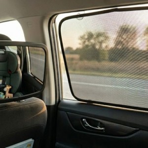Carseat Accessories