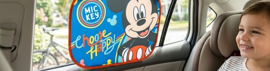 Stroller and Carseat Accessories