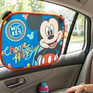 Stroller and Carseat Accessories