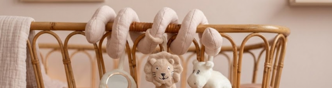 Cot and Crib Toys