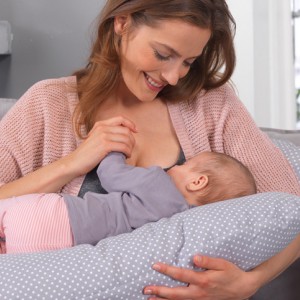 Maternity and Nursing Pillows