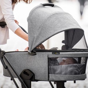 Carrycots and Prams