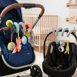 Stroller and Pram Toys