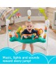 Fisher-Price Jumperoo Leaping Leopard