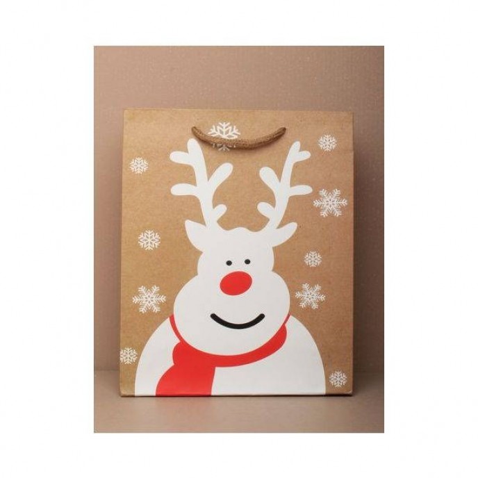 Gift Bag Christmas Reindeer 22x18x7cm