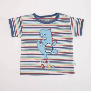 Boys 2pc Set Tshirt & Shorts Dino 