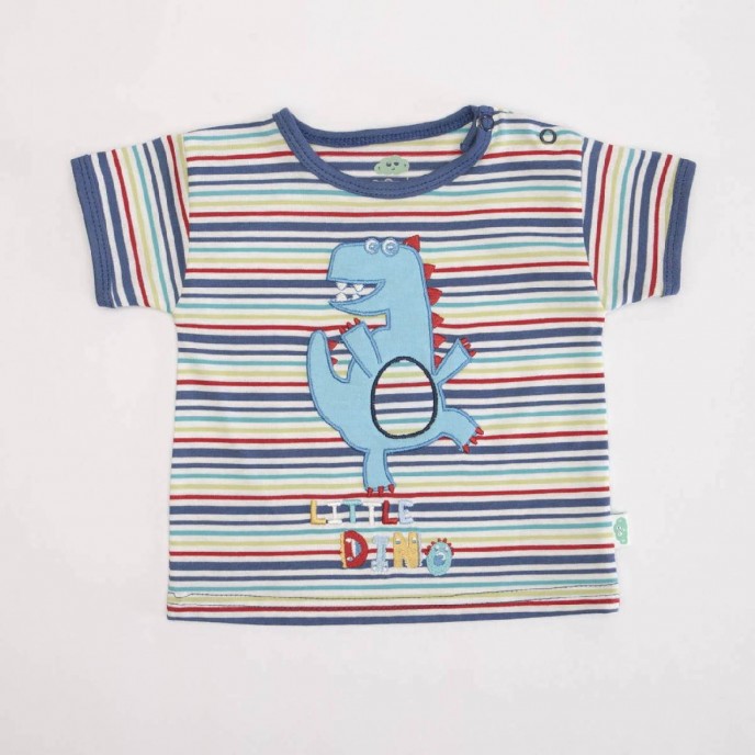 Boys 2pc Set Tshirt & Shorts Dino 