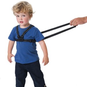 Red Kite Harness and Reins Reflective Red Kite Harness and Reins Reflective