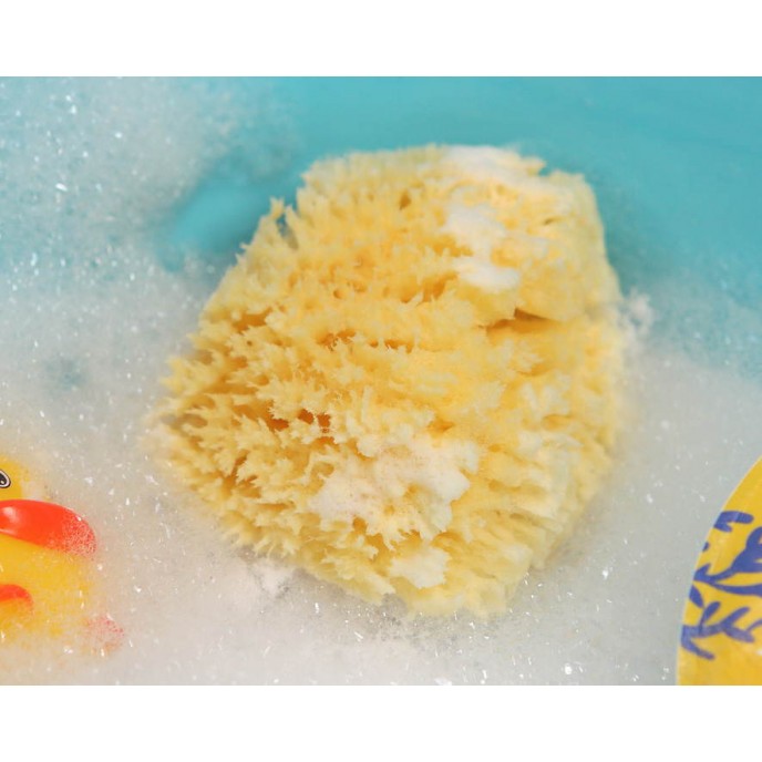 Kiokids Natural Sponge