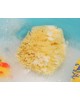 Kiokids Natural Sponge