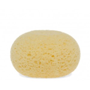 Kiokids Sponge Kiokids Sponge