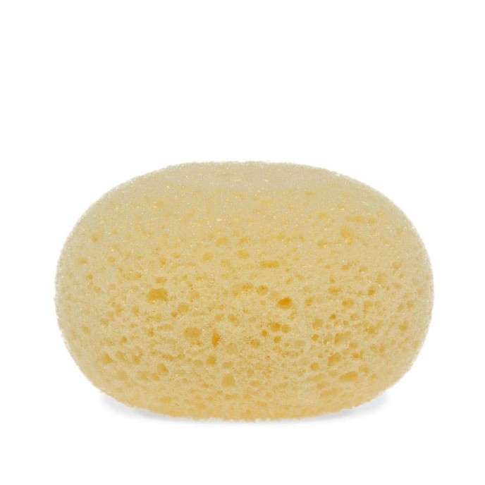 Kiokids Sponge Kiokids Sponge
