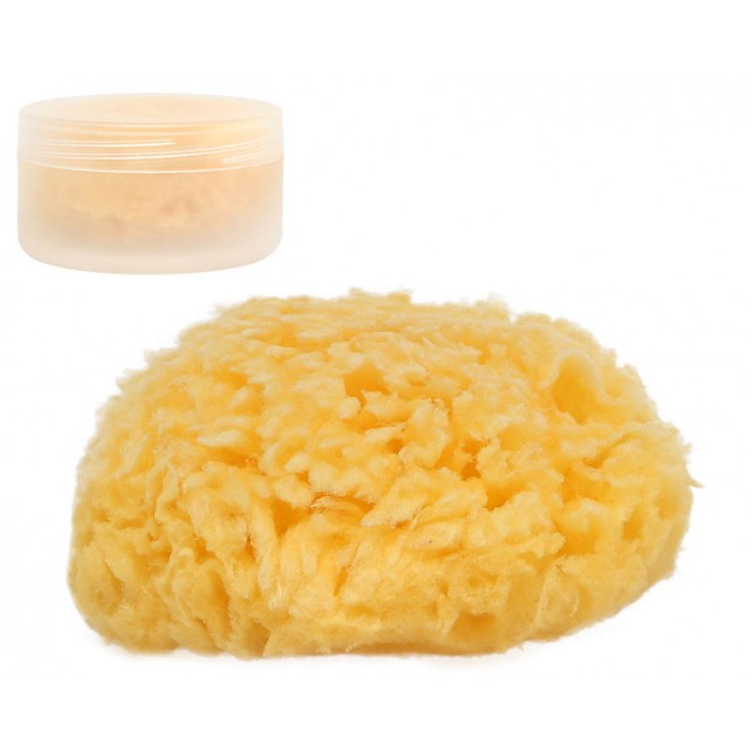 Kiokids Natural Sponge In Case Kiokids Natural Sponge In Case