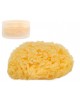 Kiokids Natural Sponge In Case