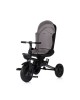 Chipolino Tricycle Twisfold 360 Foldable Charcoal