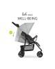 Hauck Stroller Citi Neo 3 Grey (up to 25kg)