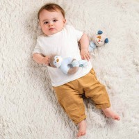 Nattou Rattle Bob the Raccoon