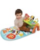 Vtech Toucan Tunes 5 in 1 Play Gym Vtech Toucan Tunes 5 in 1 Play Gym