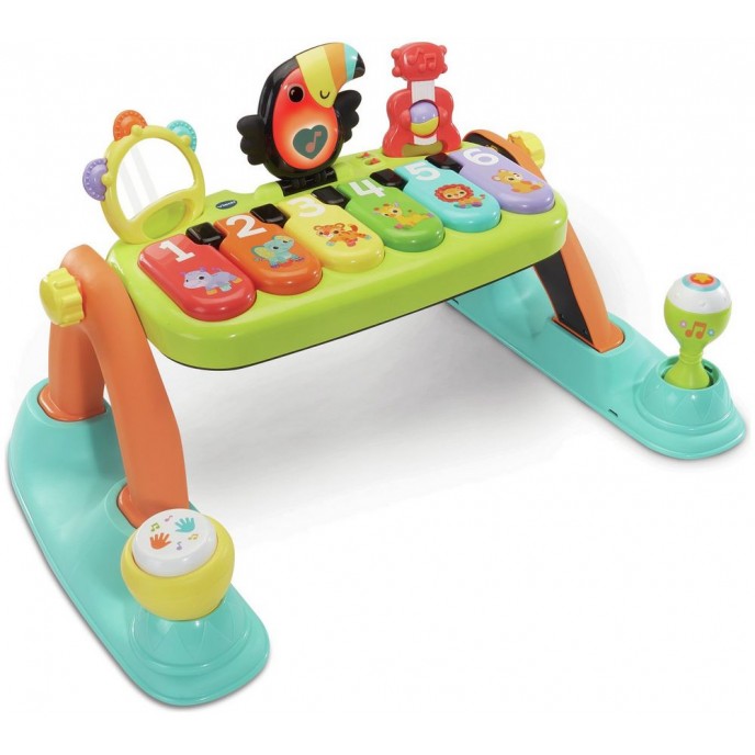 Vtech Toucan Tunes 5 in 1 Play Gym Vtech Toucan Tunes 5 in 1 Play Gym