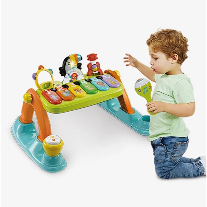 Vtech Toucan Tunes 5 in 1 Play Gym Vtech Toucan Tunes 5 in 1 Play Gym