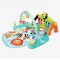 Vtech Toucan Tunes 5 in 1 Play Gym 