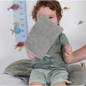 TKS Wash Mitt Green