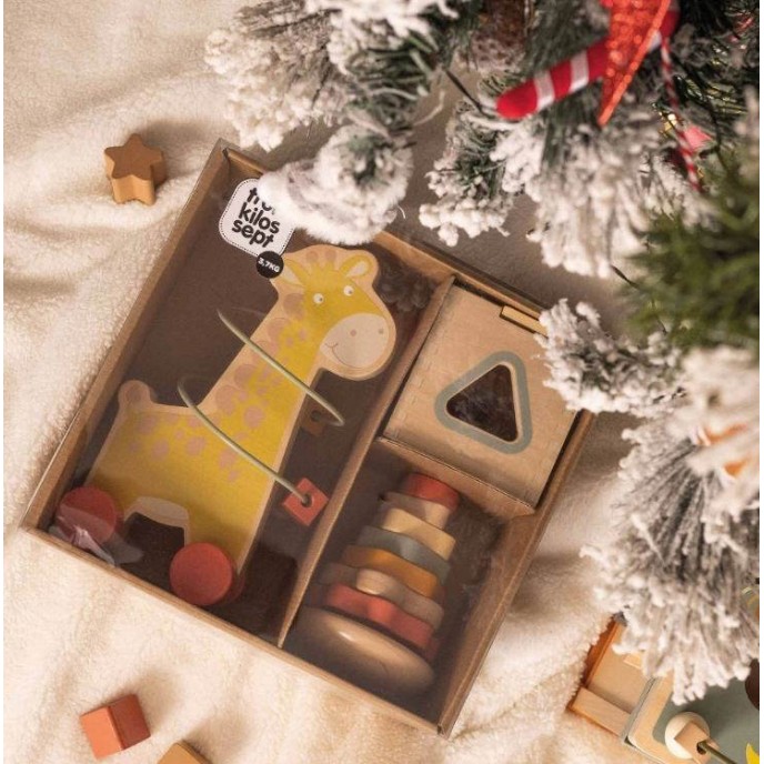 TKS Wooden Activity Toys 3pc