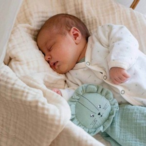 TKS Newborn Set 6pc Sage Green