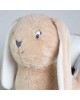 TKS Rocking Hop Rabbit