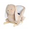 TKS Rocking Hop Rabbit