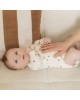 TKS Bodyvest Long Sleeve 2pk Bjorn Bear 1m
