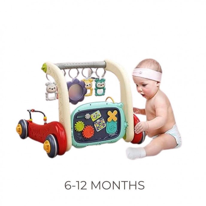 Chipolino Activity Center 3 in 1 Baby Fitness