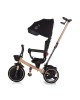 Chipolino Tricycle Alpha Fold 360 Ebony