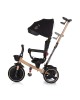 Chipolino Tricycle Alpha Fold 360 Ebony