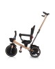 Chipolino Tricycle Alpha Fold 360 Ebony