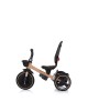 Chipolino Tricycle Alpha Fold 360 Ebony