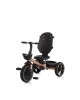 Chipolino Tricycle Alpha Fold 360 Ebony