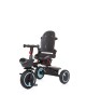 Chipolino Tricycle Quick Fold 360 Ebony