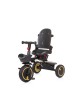 Chipolino Tricycle Quick Fold 360 Graphite