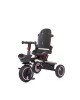 Chipolino Tricycle Quick Fold 360 Rose