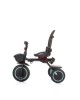 Chipolino Tricycle Quick Fold 360 Aloe