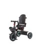 Chipolino Tricycle Quick Fold 360 Aloe