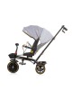 Chipolino Tricycle Max Sport 360 Ash Grey