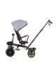 Chipolino Tricycle Max Sport 360 Ash Grey