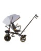 Chipolino Tricycle Max Sport 360 Ash Grey