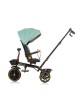 Chipolino Tricycle Max Sport 360 Pastel Green