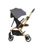 Chipolino Stroller Twister 360 Granite