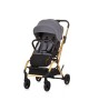 Chipolino Stroller Twister 360 Granite