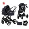 Chipolino Travel System Amore Blackberry Chipolino Travel System Amore Blackberry